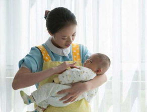 北海市家?guī)图艺?wù)公司